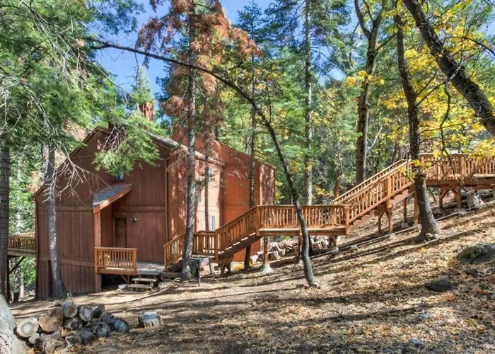 Forest Glen